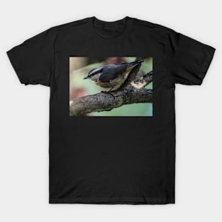 White Breasted Nuthatch. T-Shirt